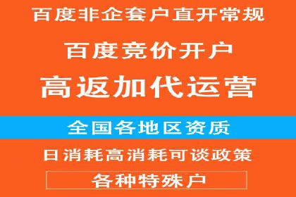 SEM代理助力品牌：案例解析与优化策略